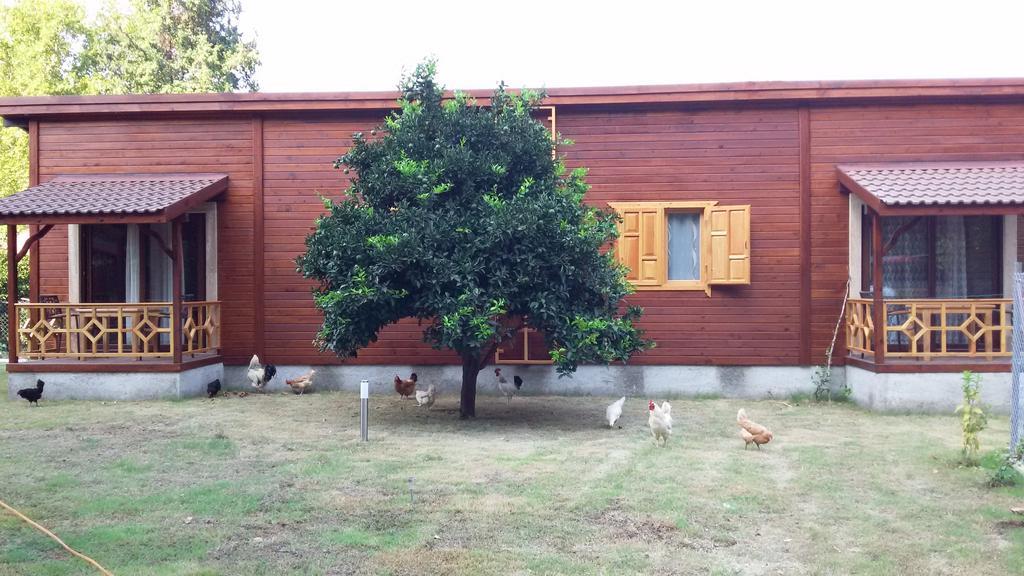 Maji Village Çıralı Quarto foto